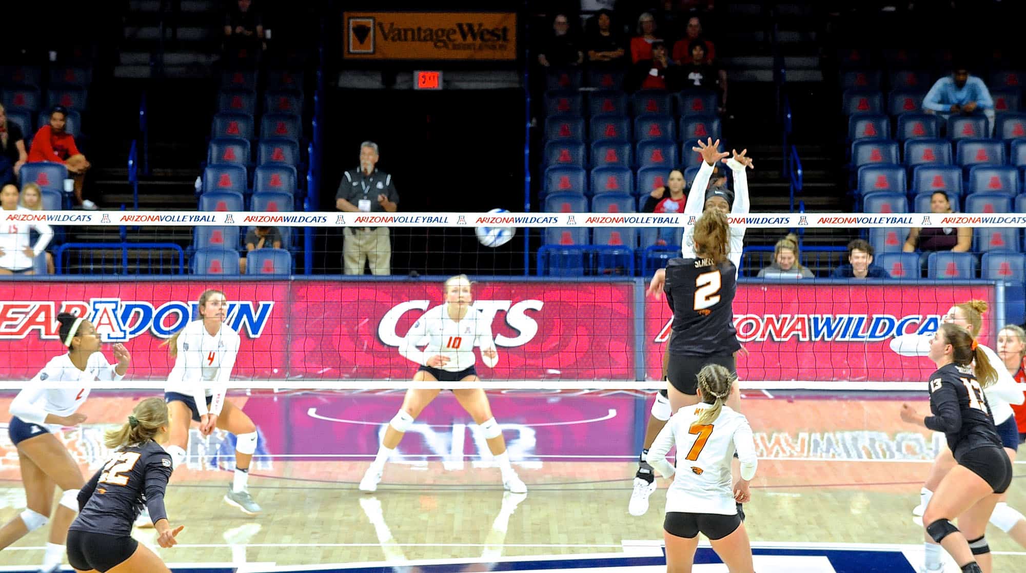 Arizona vs Oregon State Women’s Volleyball