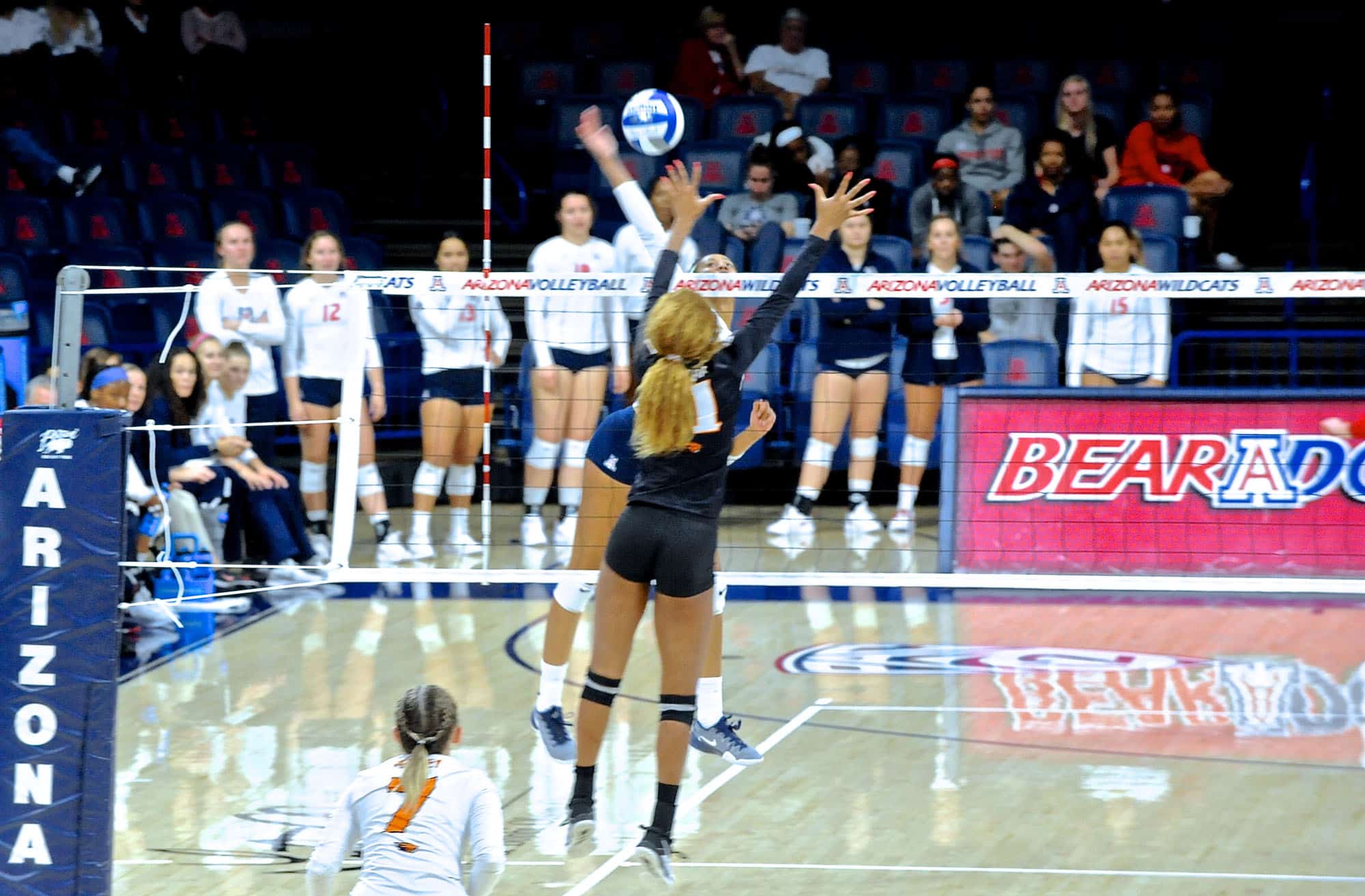 Arizona vs Oregon State Women’s Volleyball