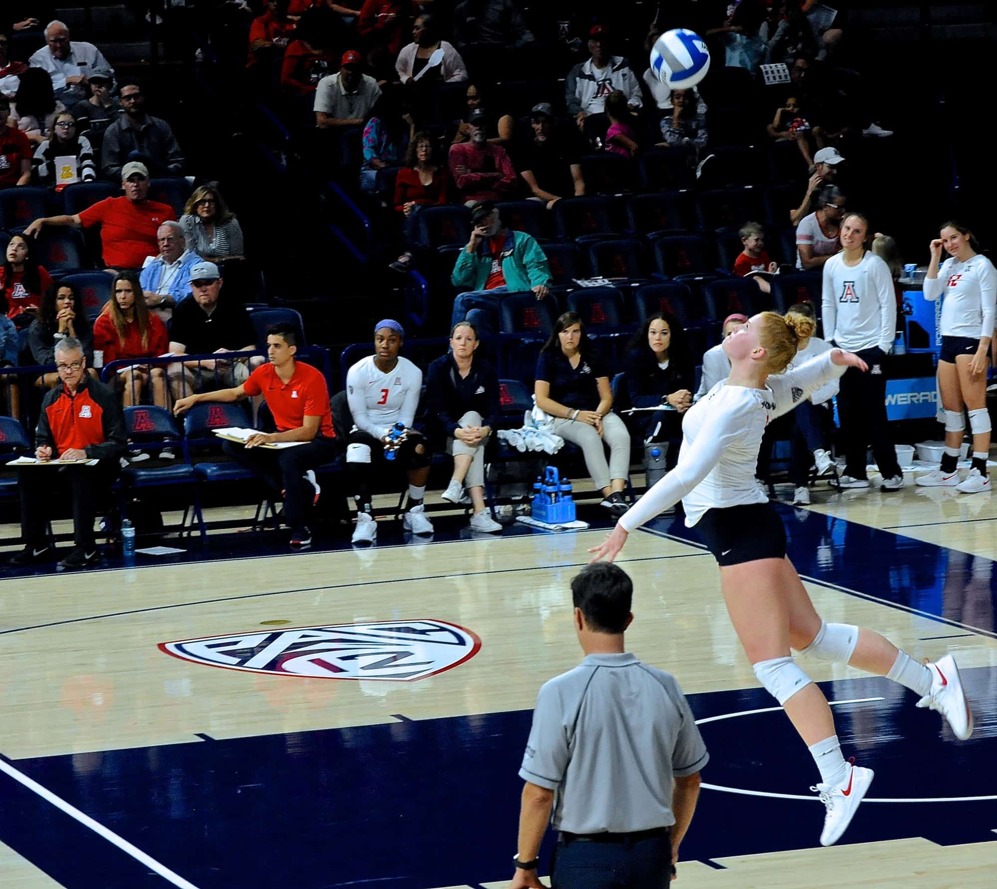 Arizona vs Oregon State Women’s Volleyball