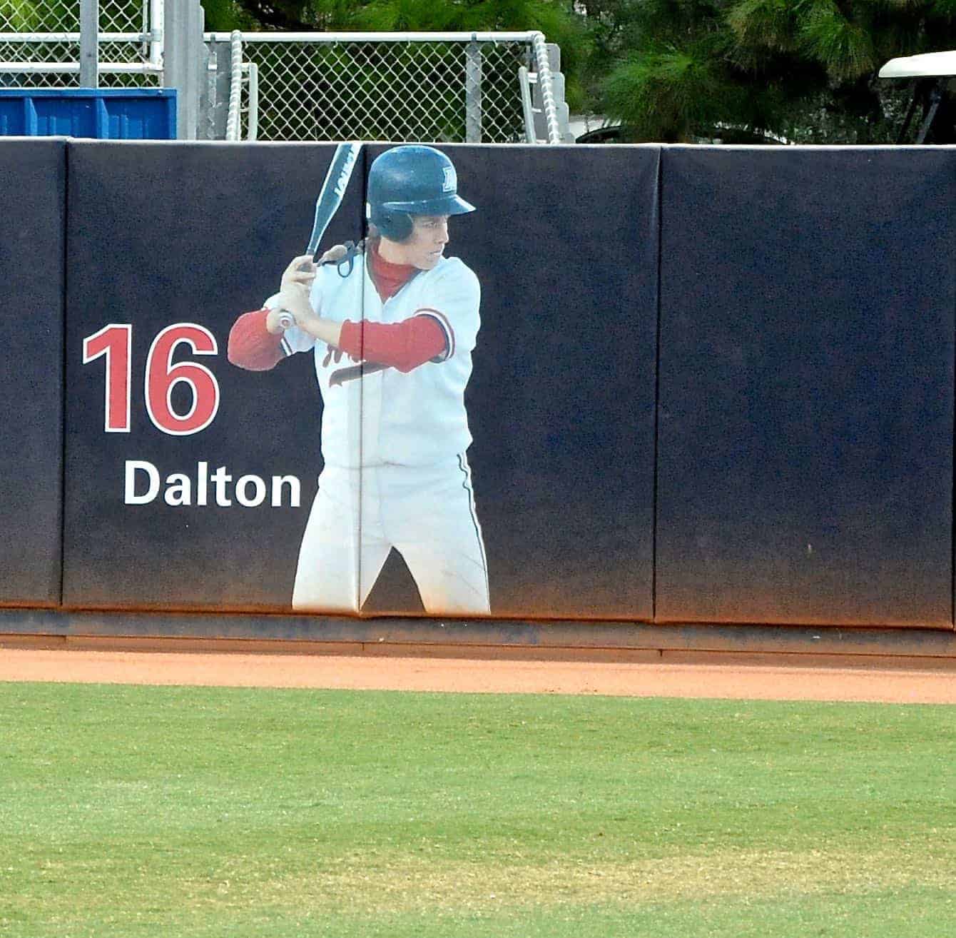2015 Arizona Softball Alumni Game