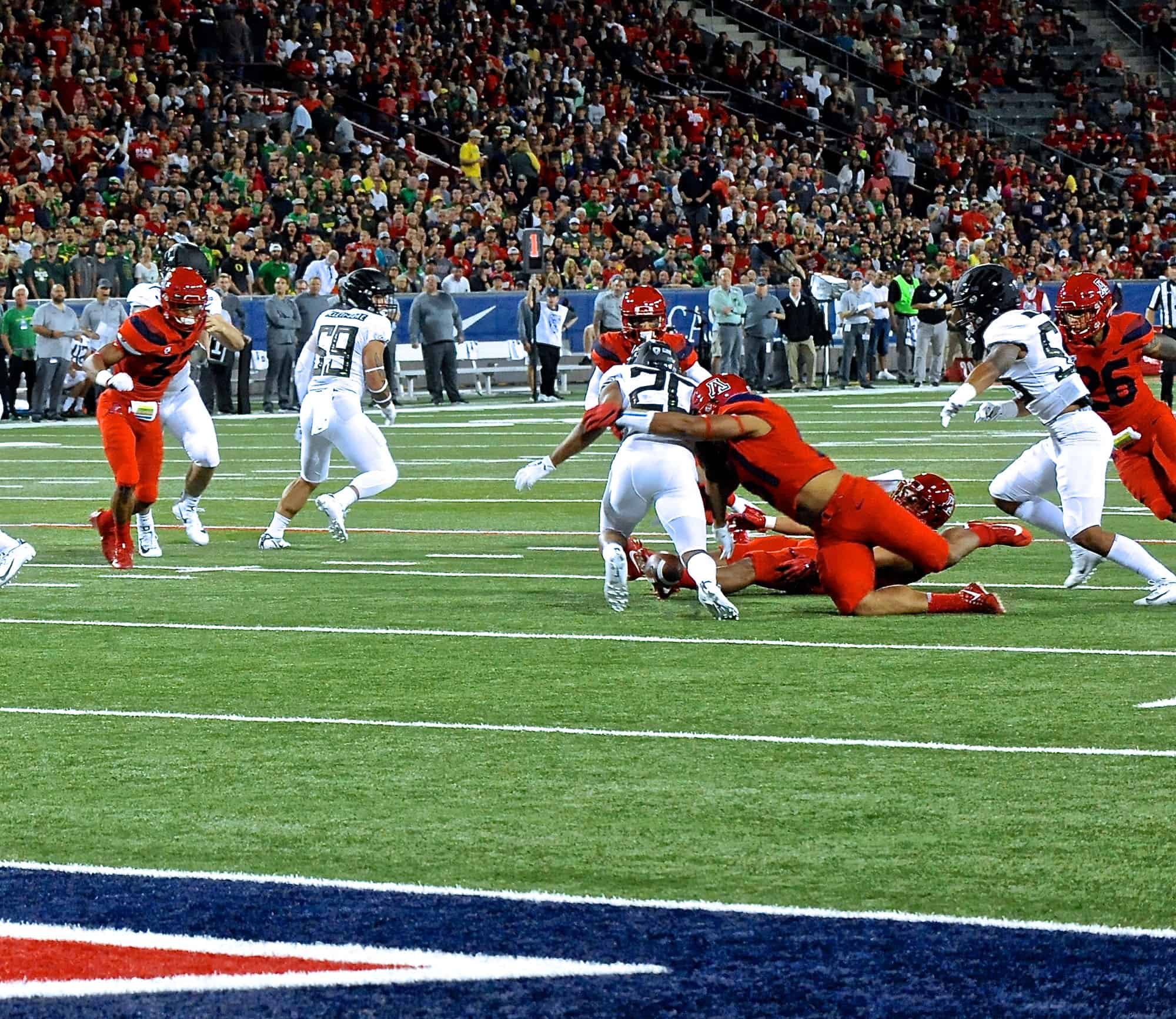 Cats vs Ducks 1st Half