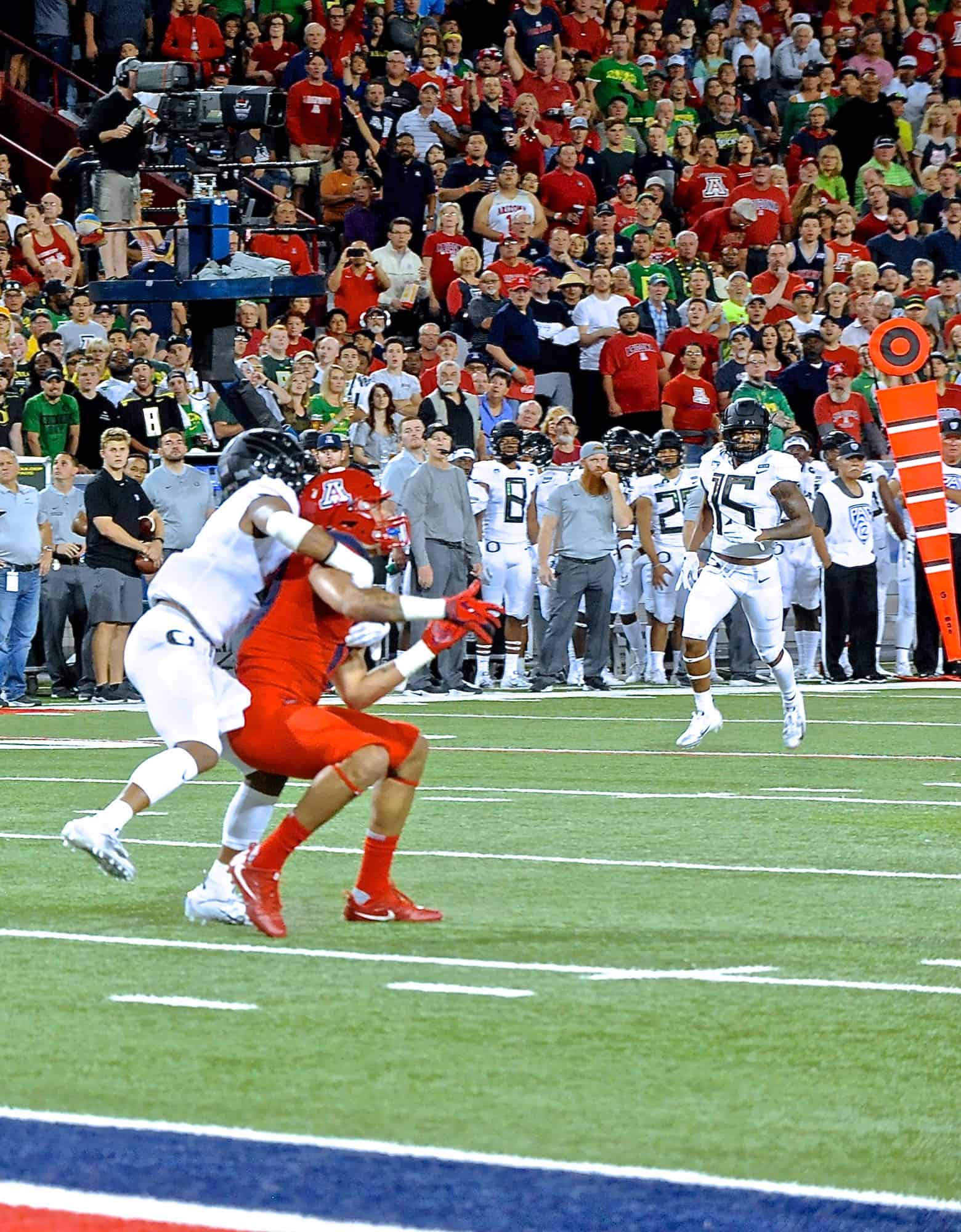 Cats vs Ducks 1st Half