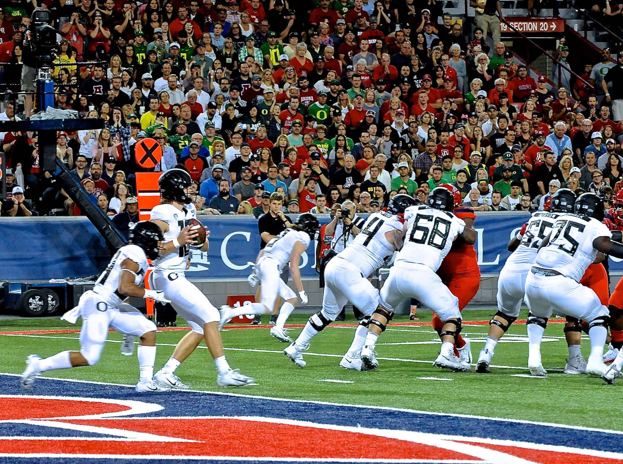 Cats vs Ducks 1st Half