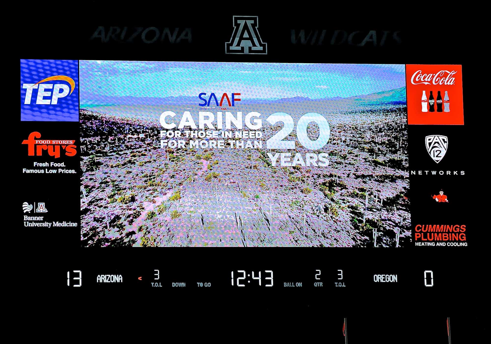 Cats vs Ducks 1st Half