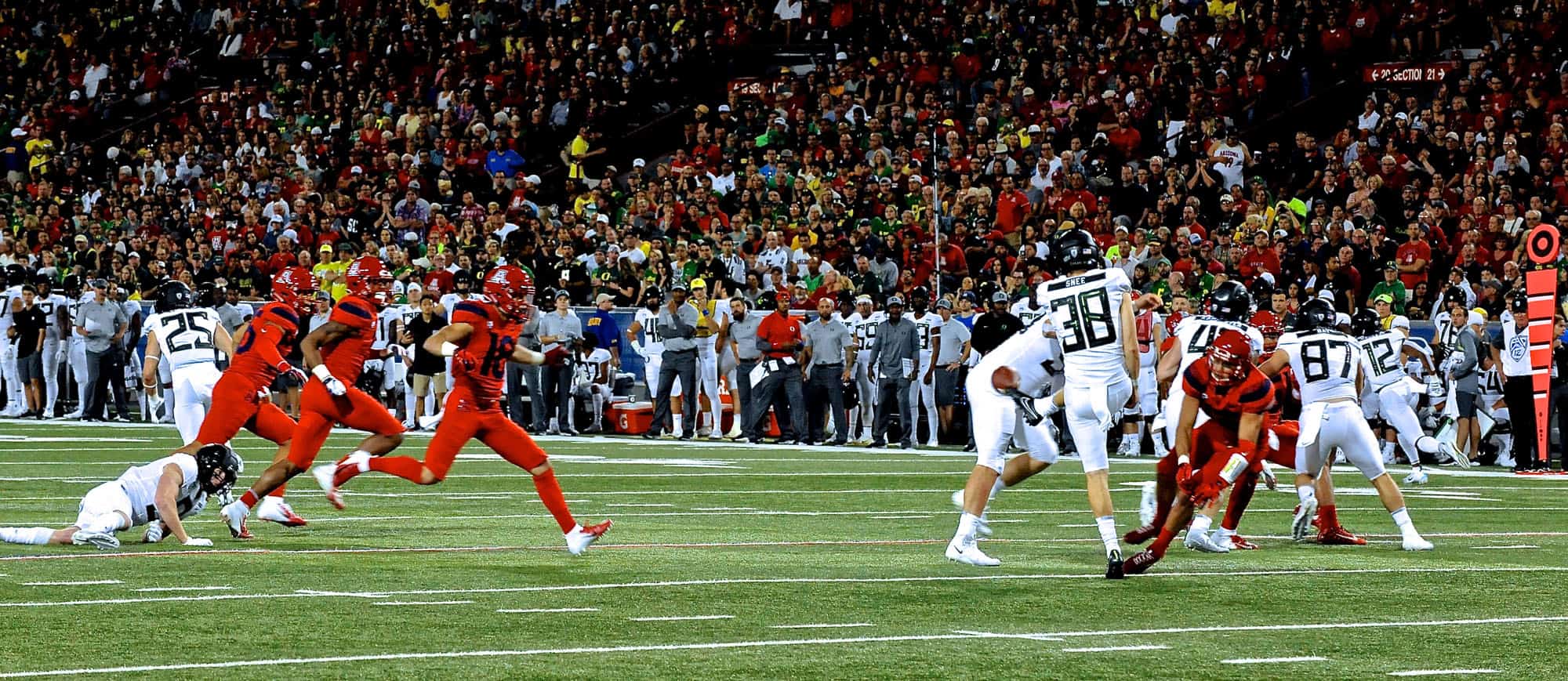Cats vs Ducks 1st Half