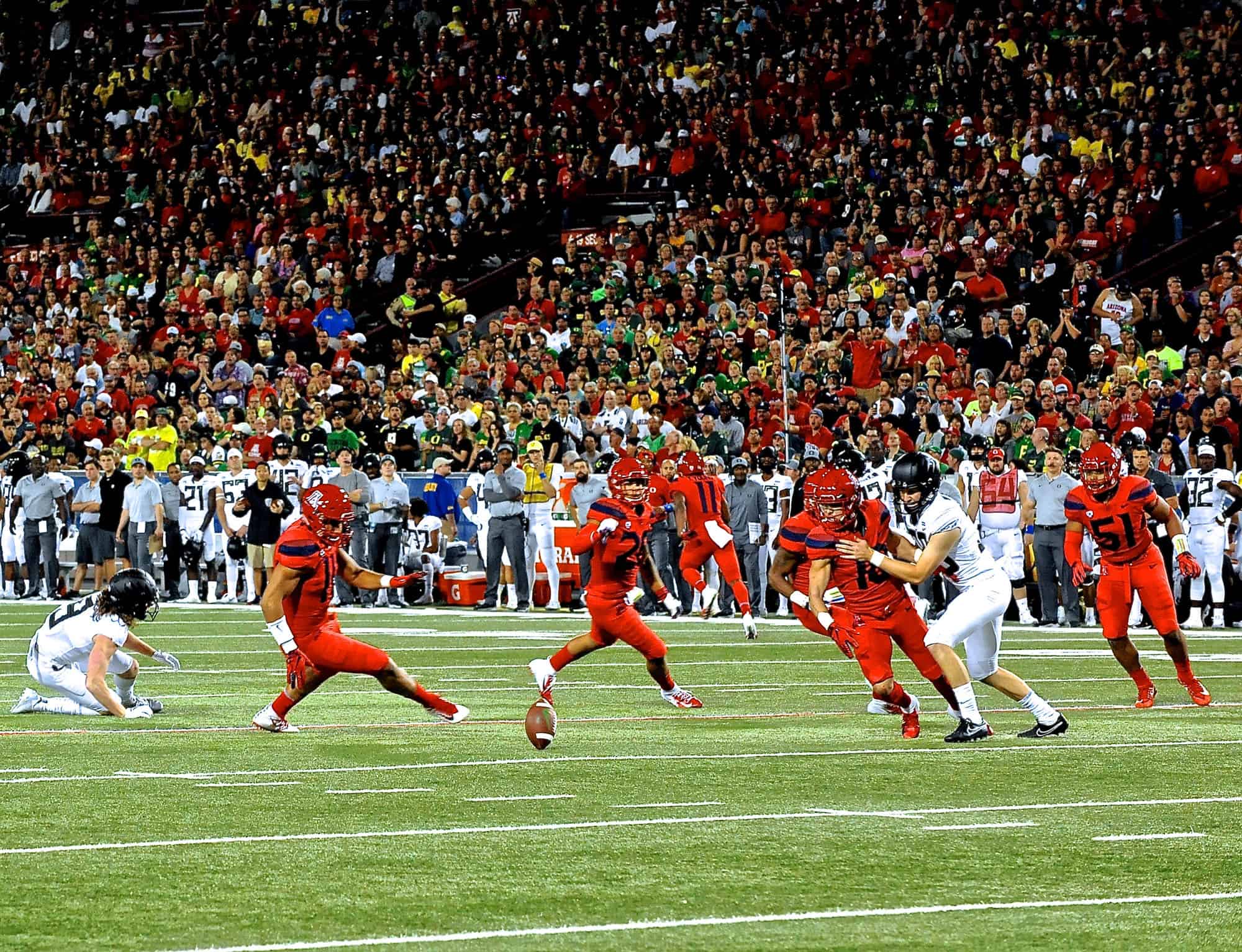 Cats vs Ducks 1st Half