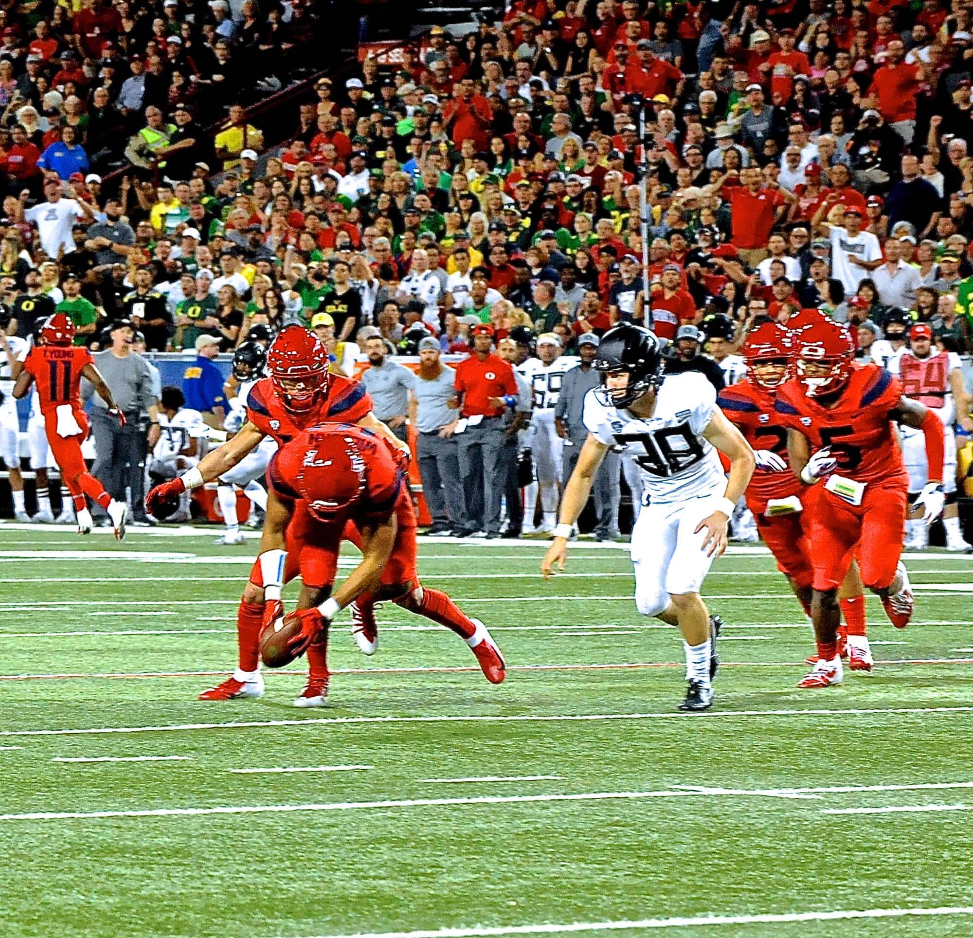 Cats vs Ducks 1st Half