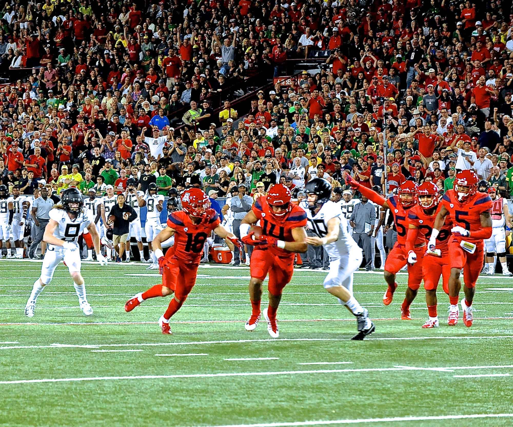 Cats vs Ducks 1st Half