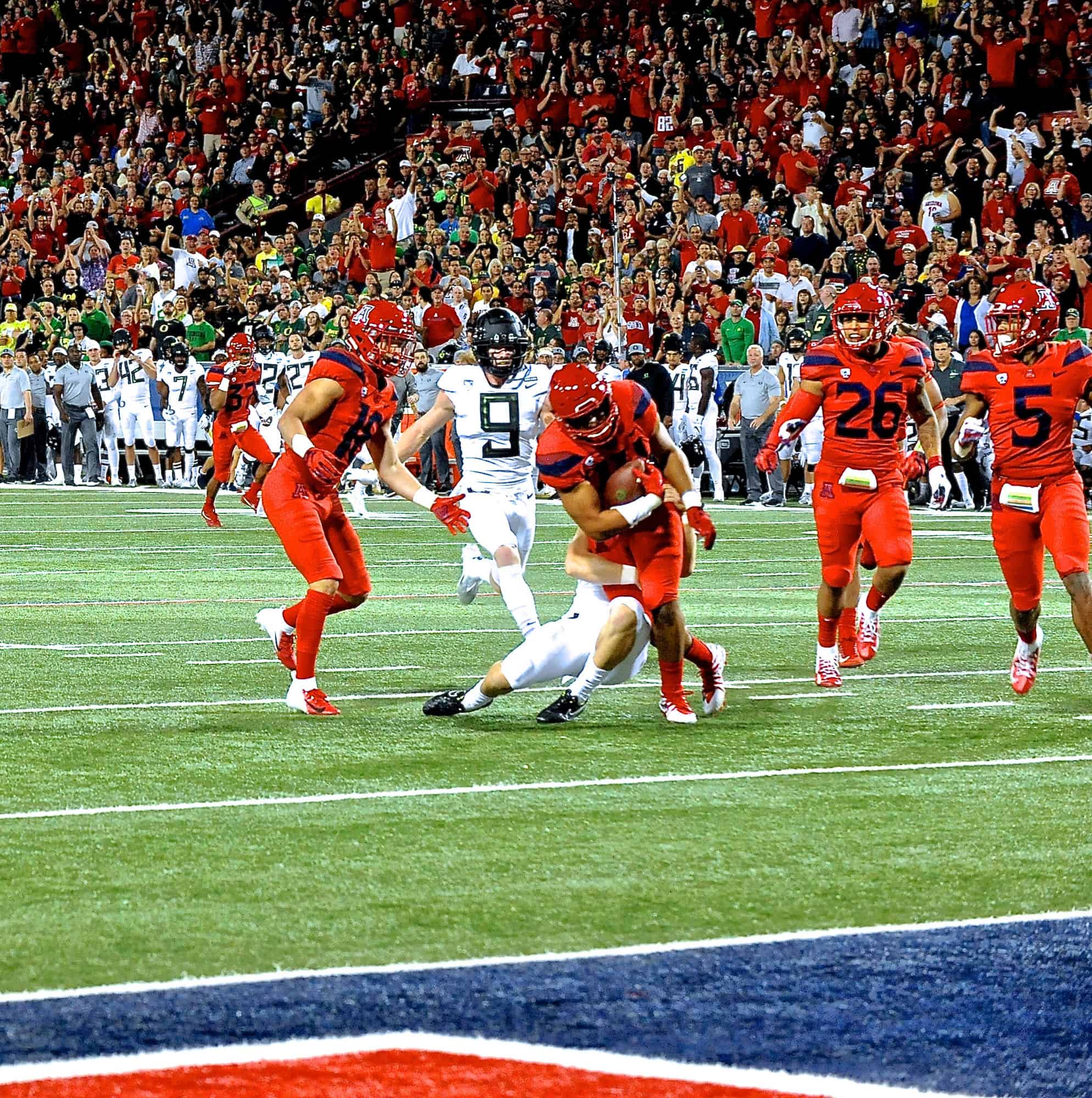Cats vs Ducks 1st Half