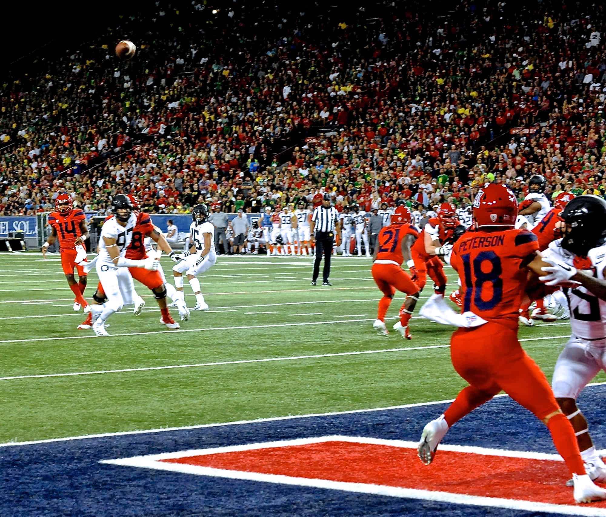 Cats vs Ducks 1st Half