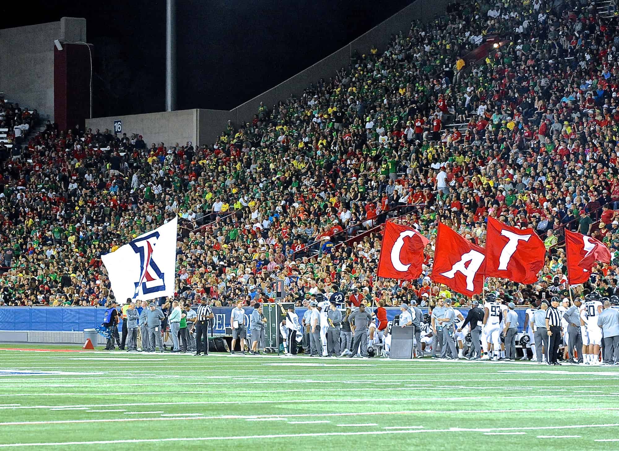 Cats vs Ducks 1st Half
