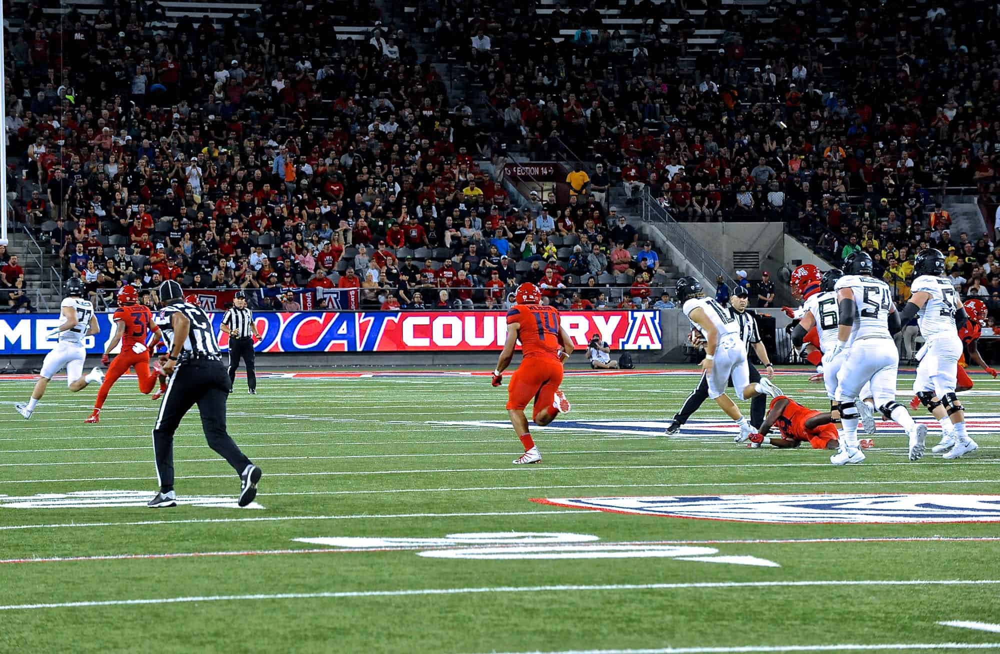 Cats vs Ducks 1st Half