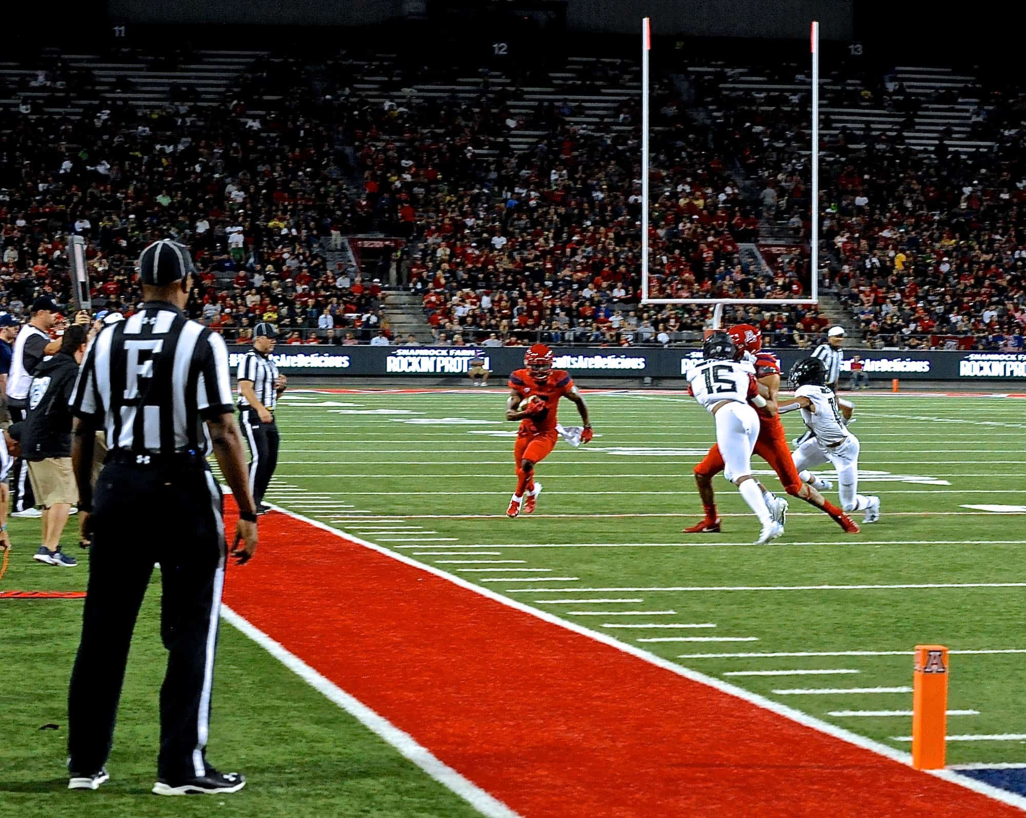 Cats vs Ducks 1st Half