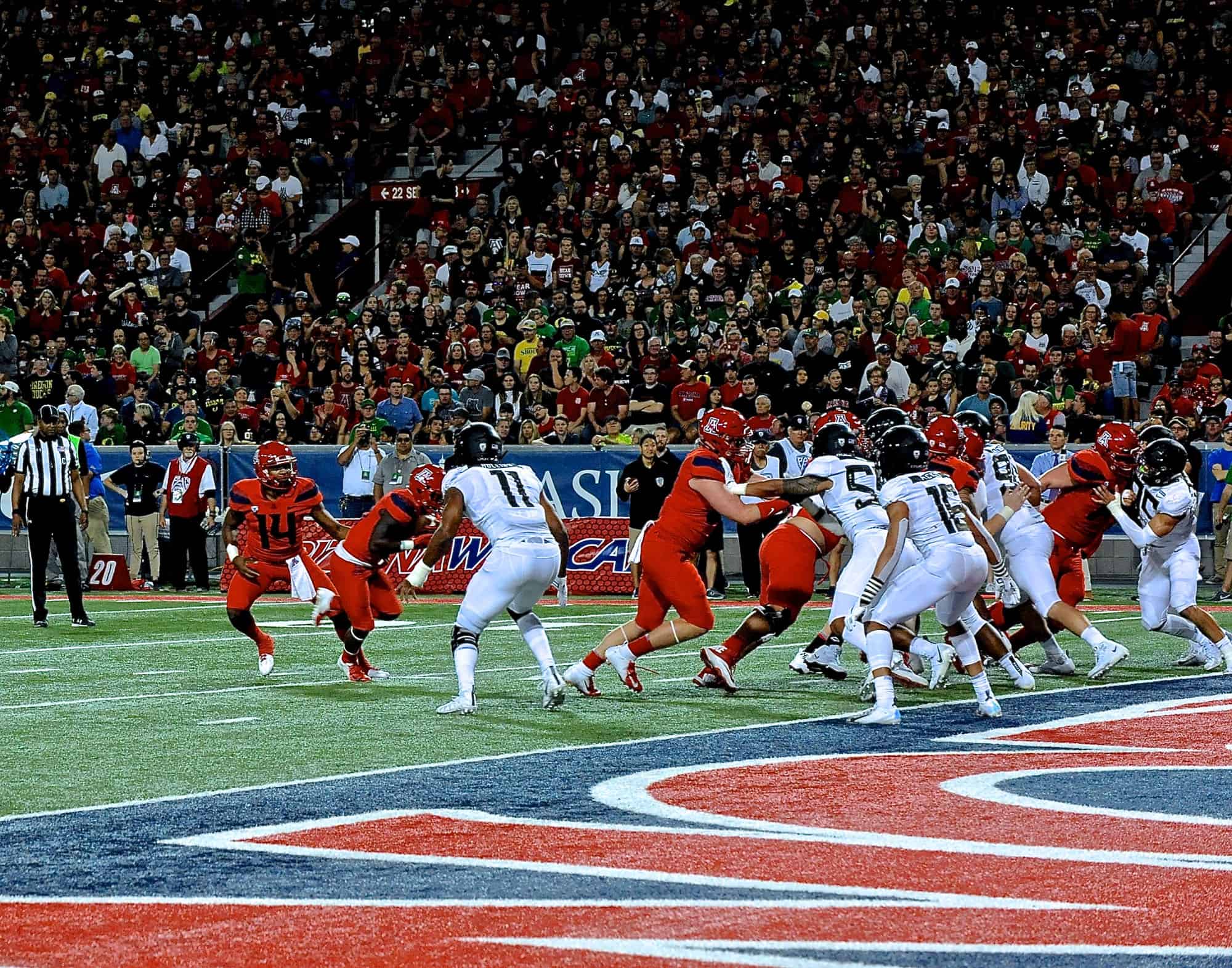 Cats vs Ducks 1st Half