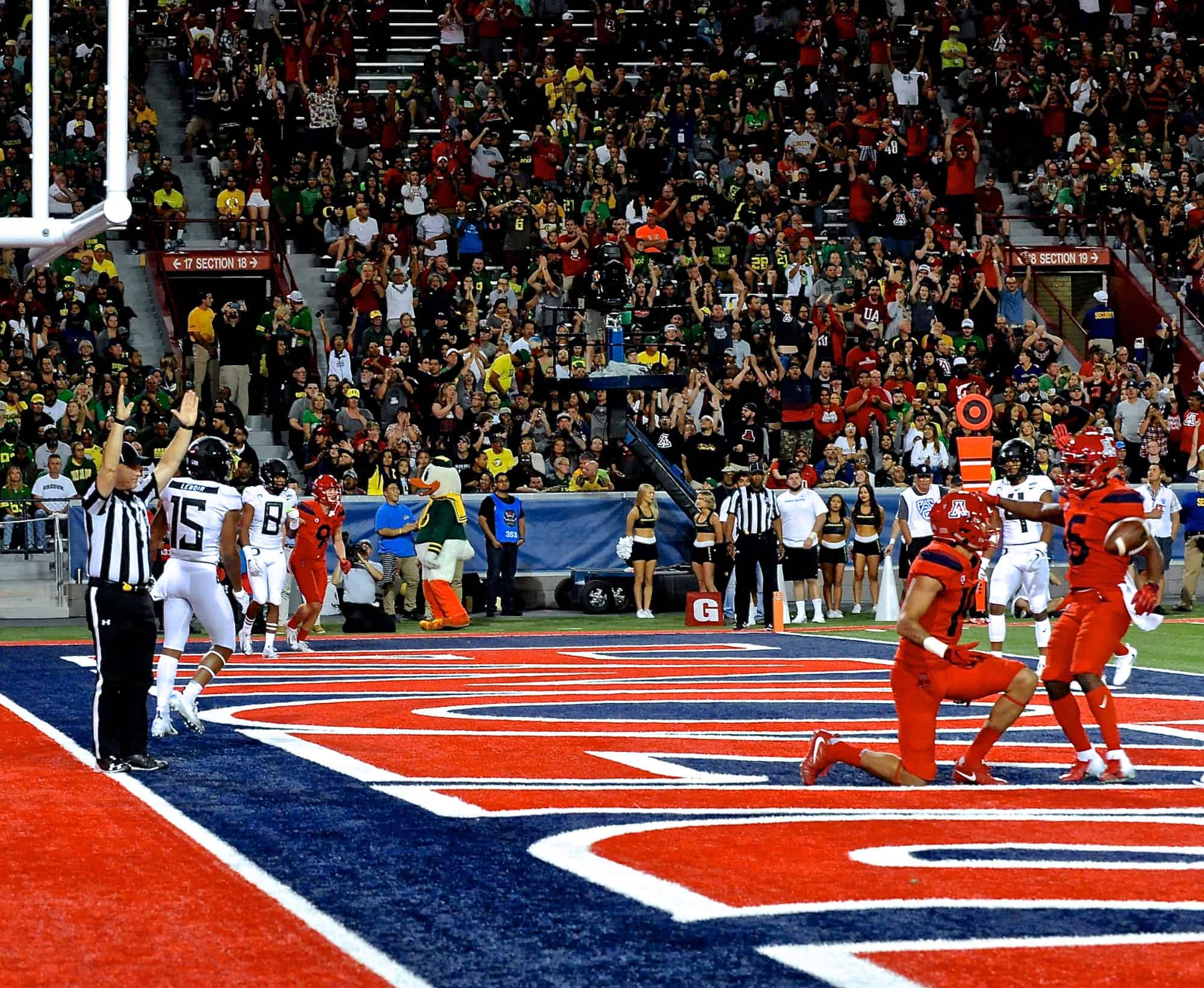 Cats vs Ducks 2nd Half