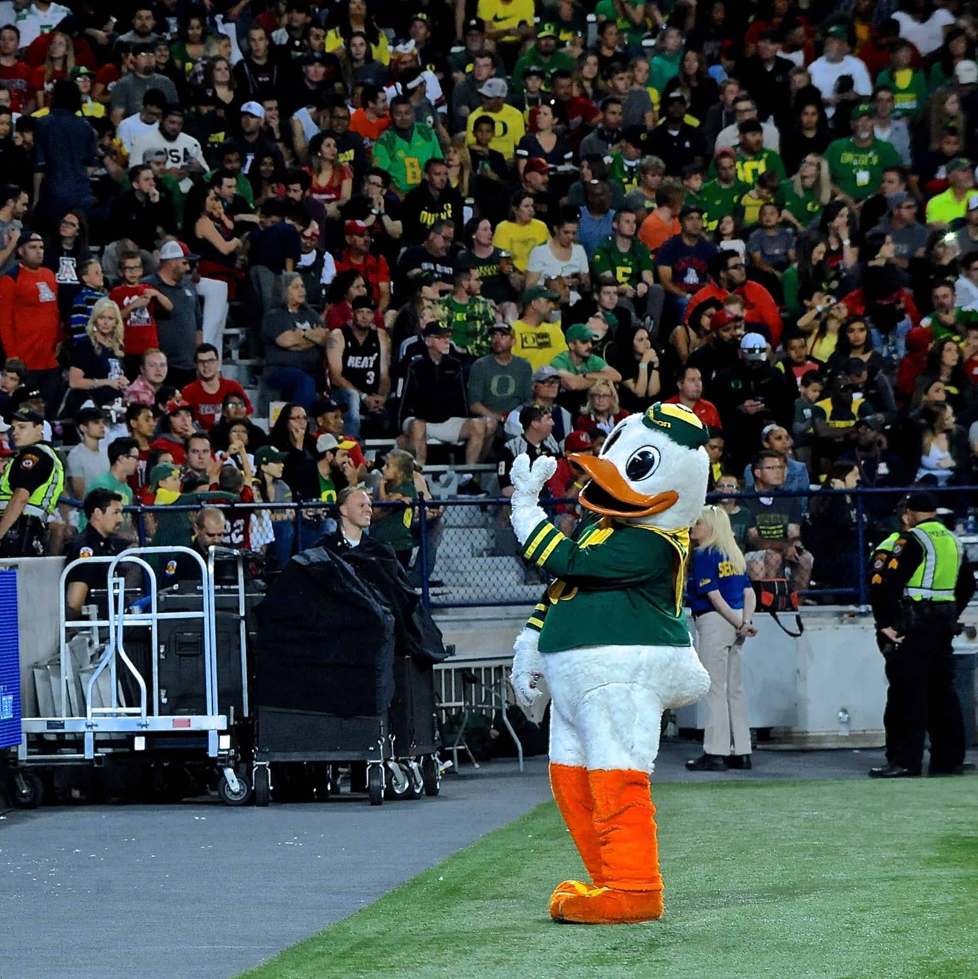 Cats vs Ducks 2nd Half