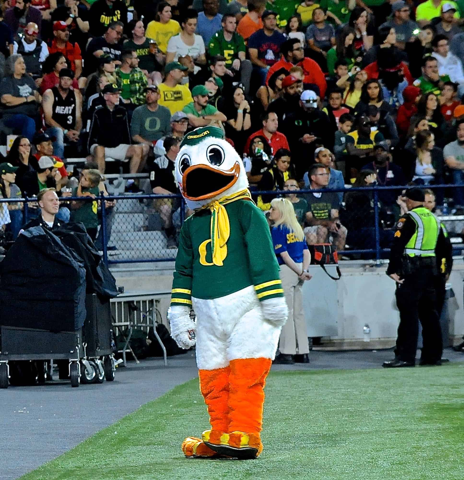 Cats vs Ducks 2nd Half