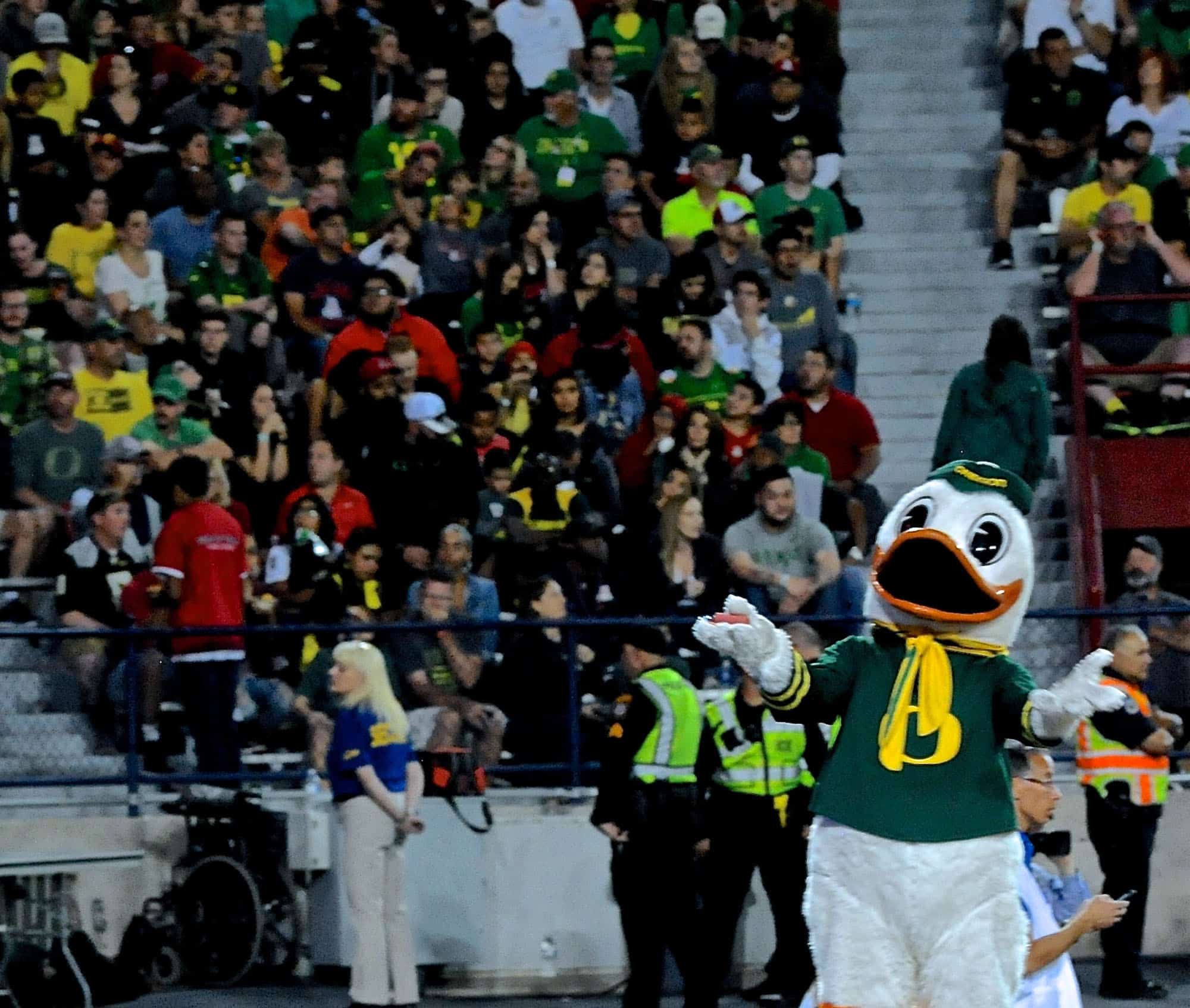 Cats vs Ducks 2nd Half