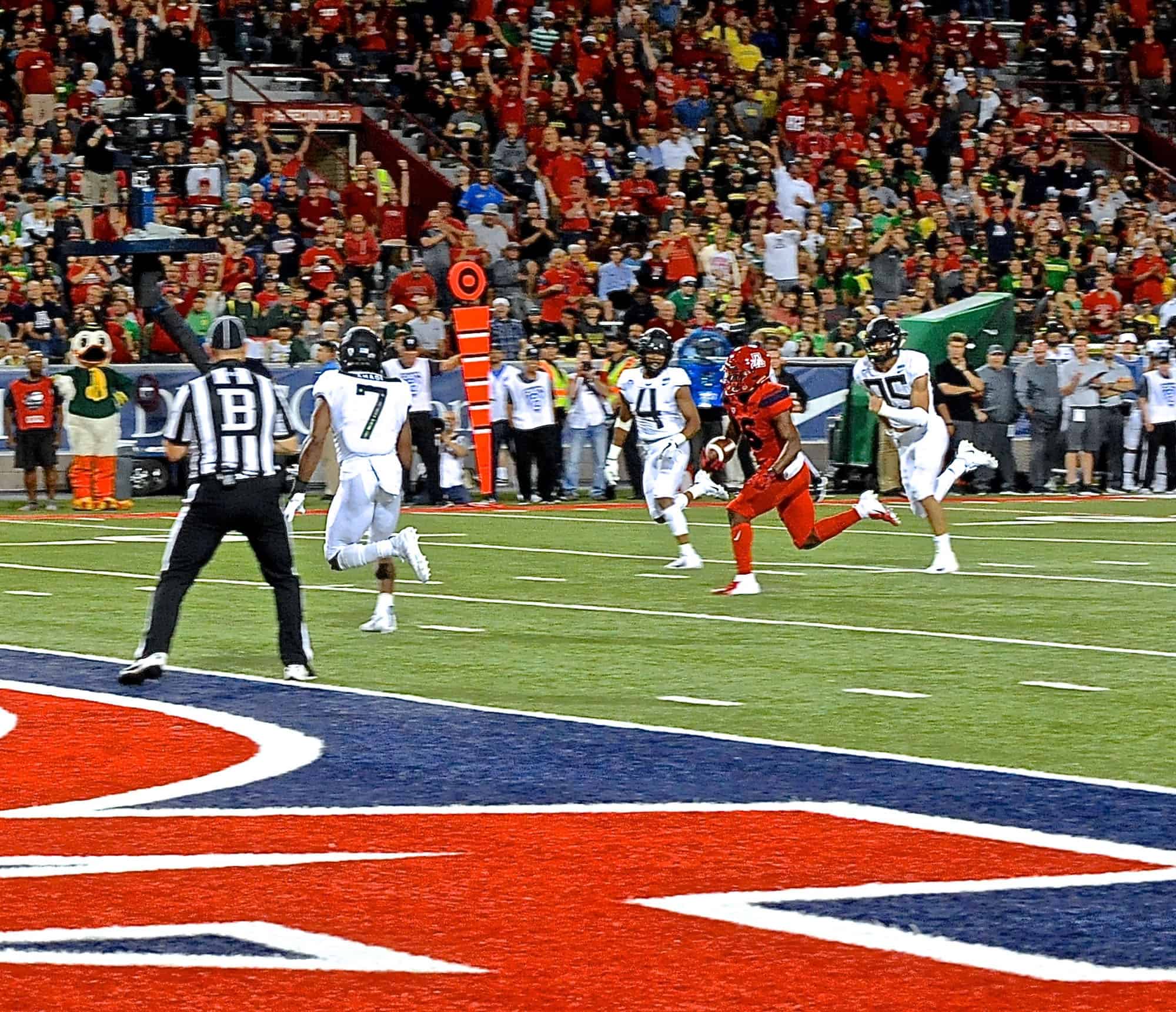 Cats vs Ducks 2nd Half