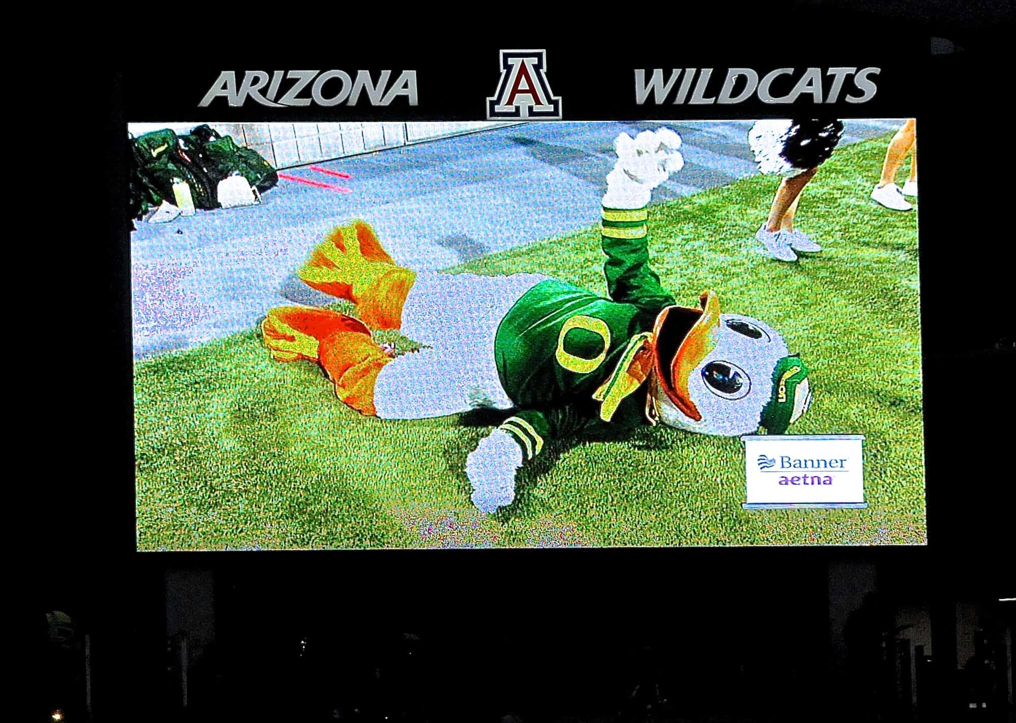 Cats vs Ducks 2nd Half