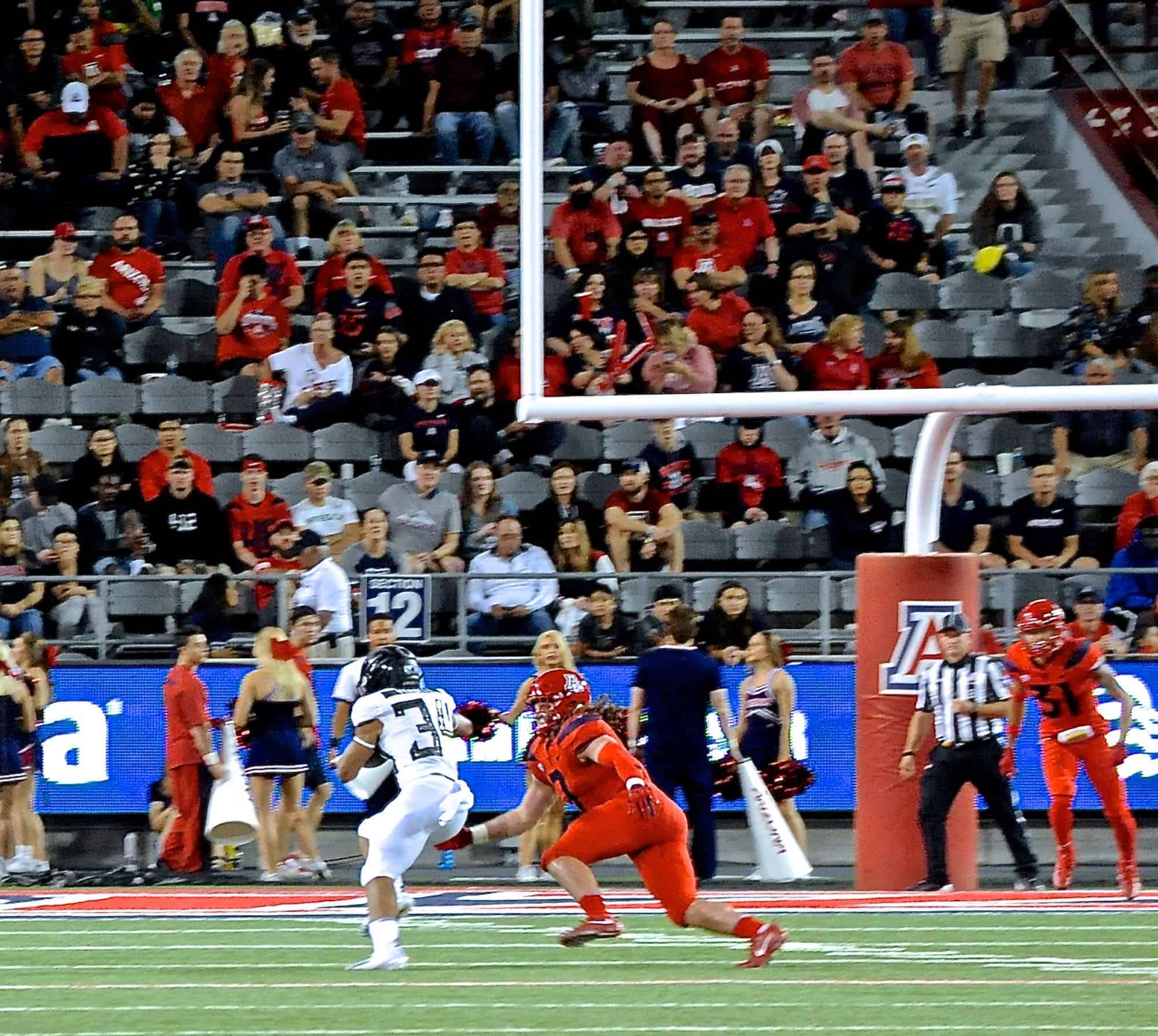 Cats vs Ducks 2nd Half