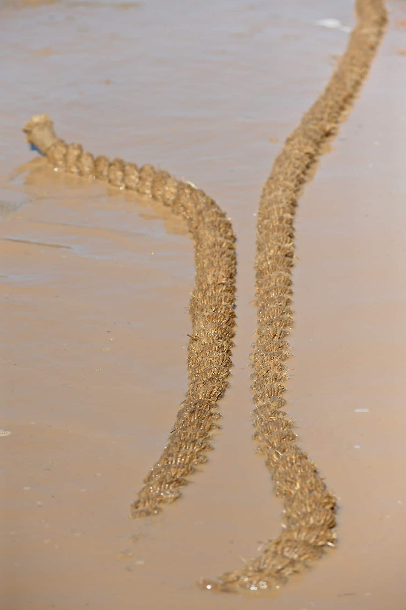 Tug of War (2014)