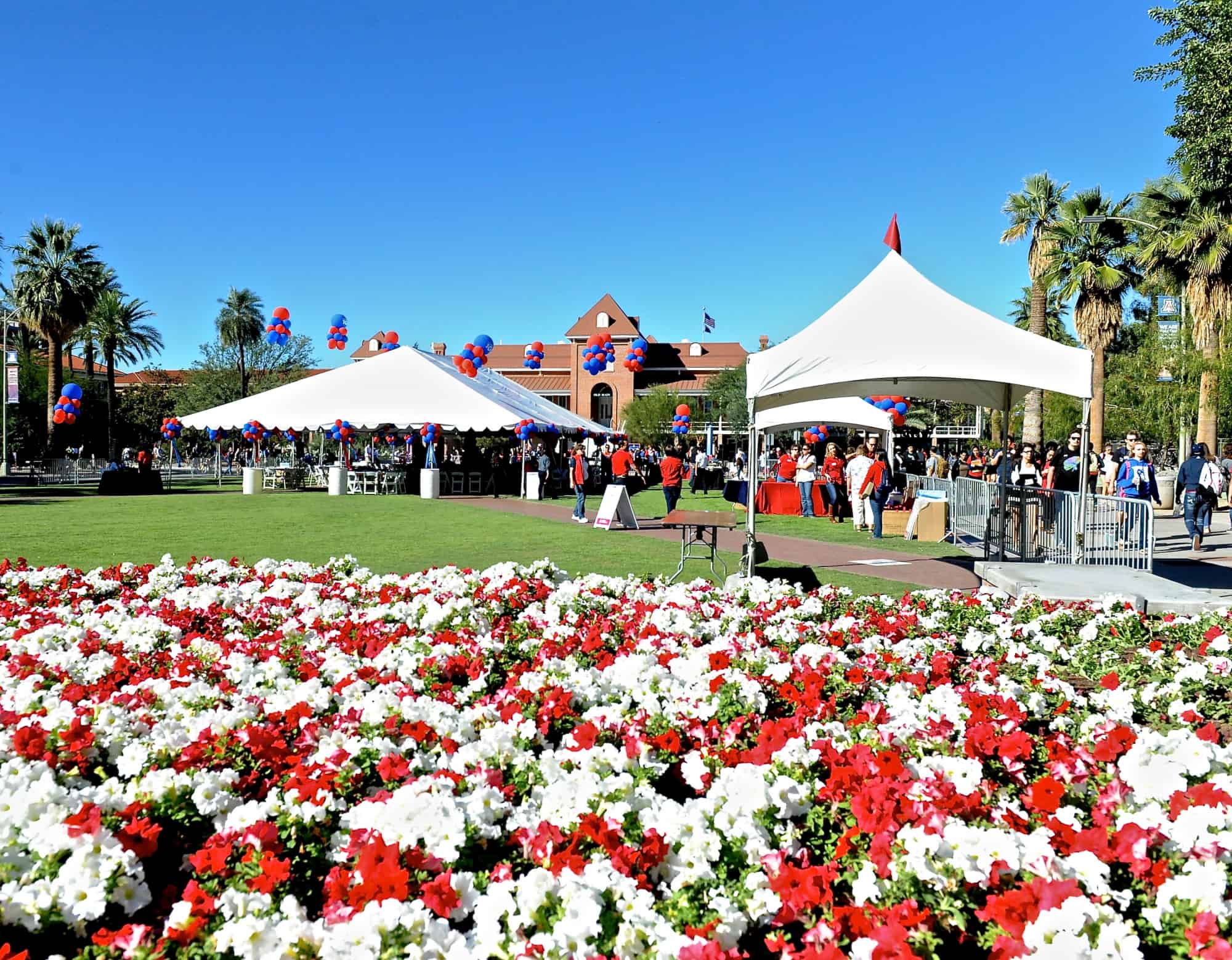 Campus Views (2014)
