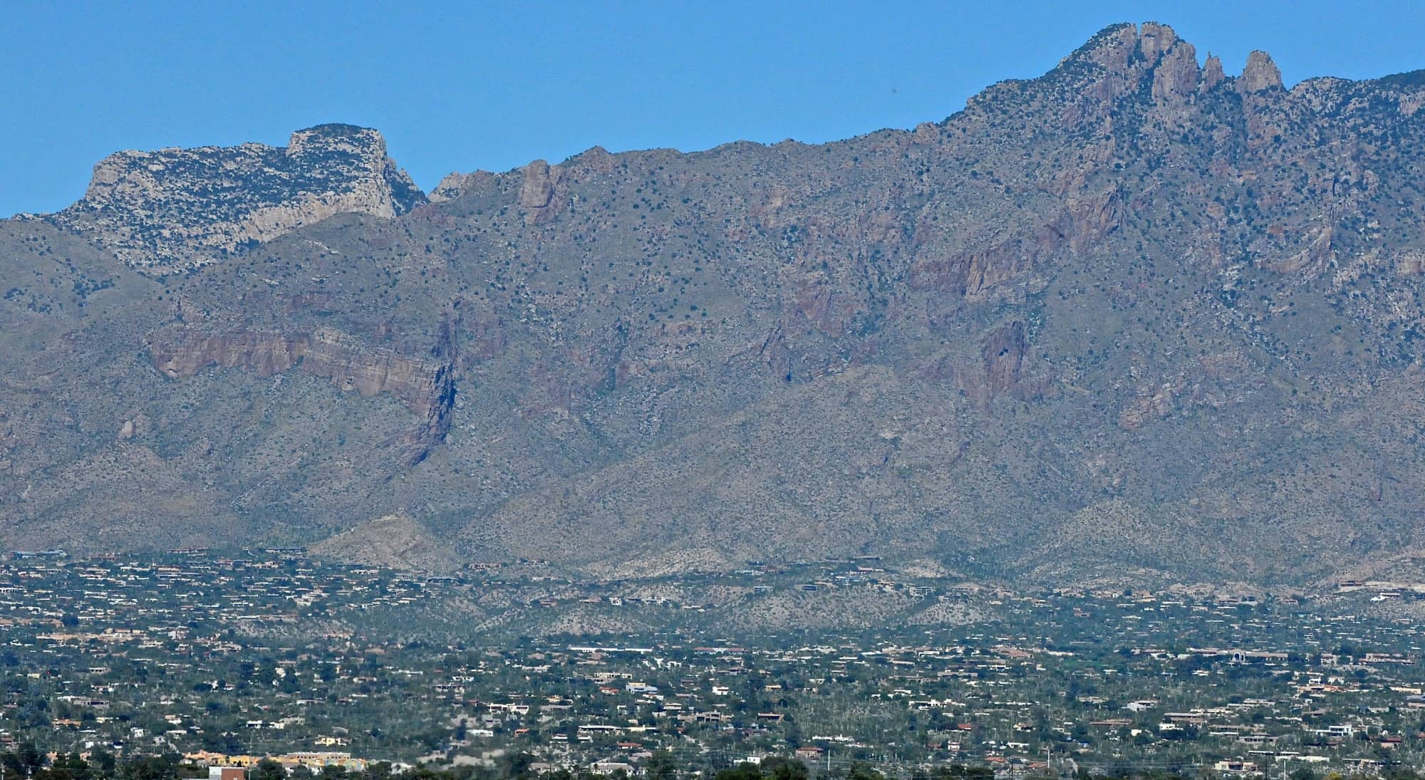 Campus Views (2014)