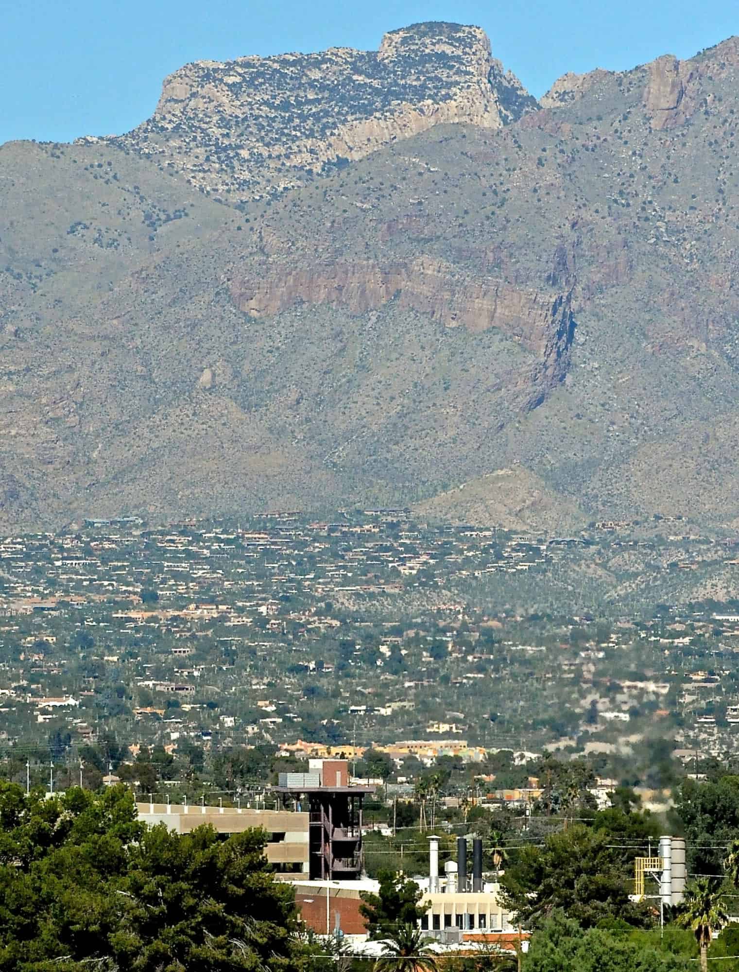Campus Views (2014)