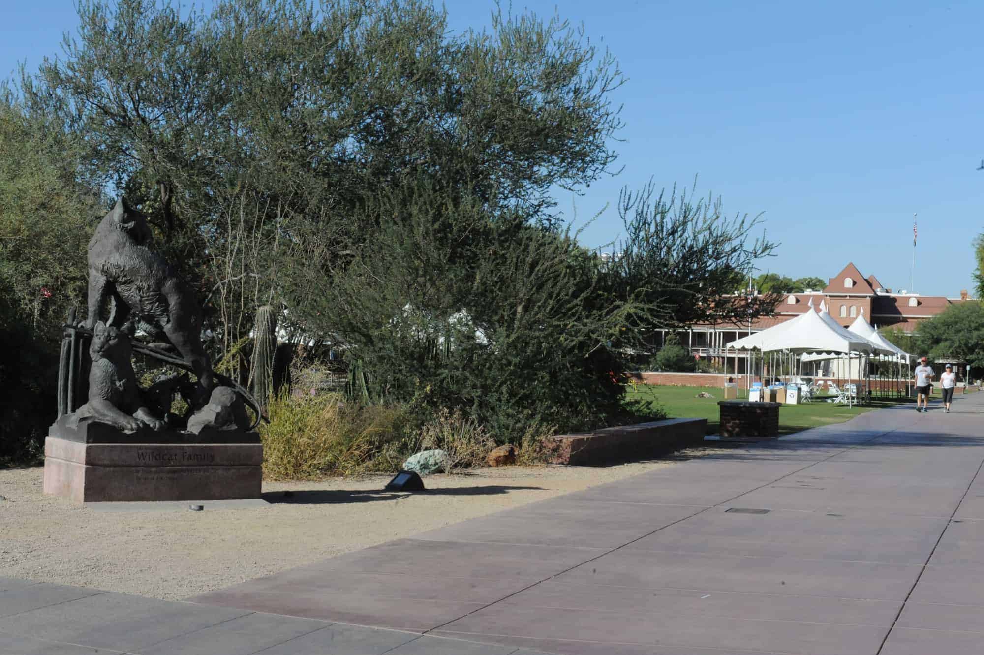 Campus Views (2017)