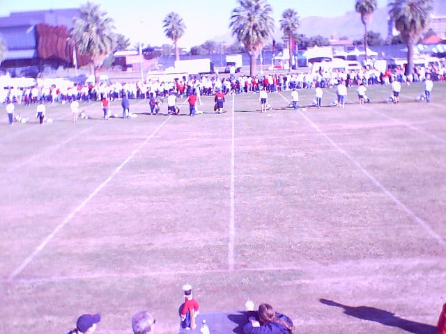 2004