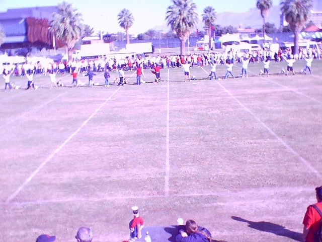 2004
