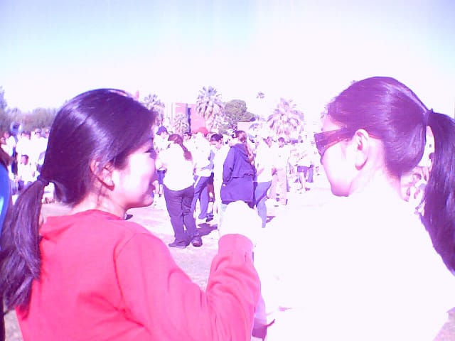 2004
