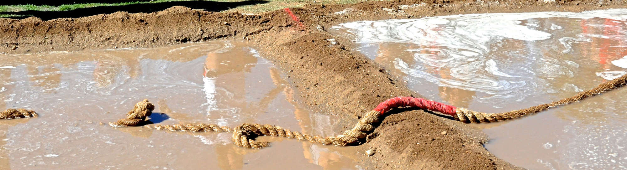 Tug of War (2019)