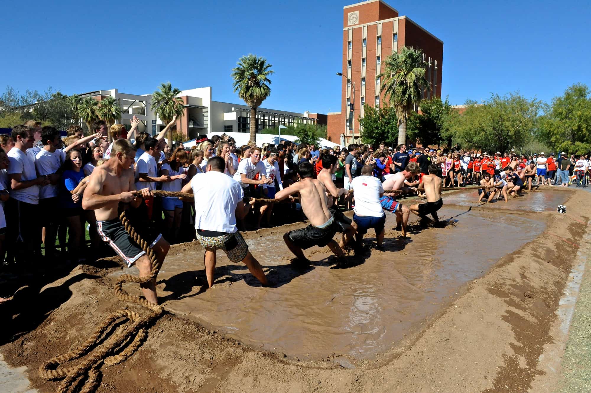 Tug of War (2019)